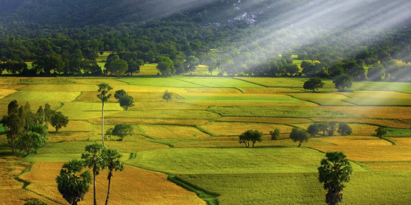 Hồ Tà Pạ & Cánh đồng Tà Pạ (Tri Tôn)