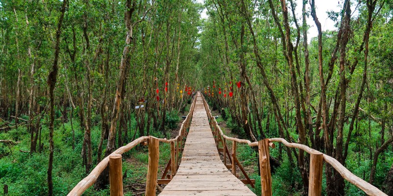 Rừng tràm Trà Sư (Tịnh Biên)