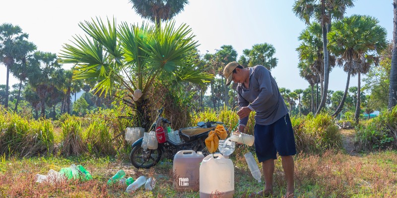 Quy trình lấy nước thốt nốt: "Ăn cơm dưới đất, làm việc trên trời"