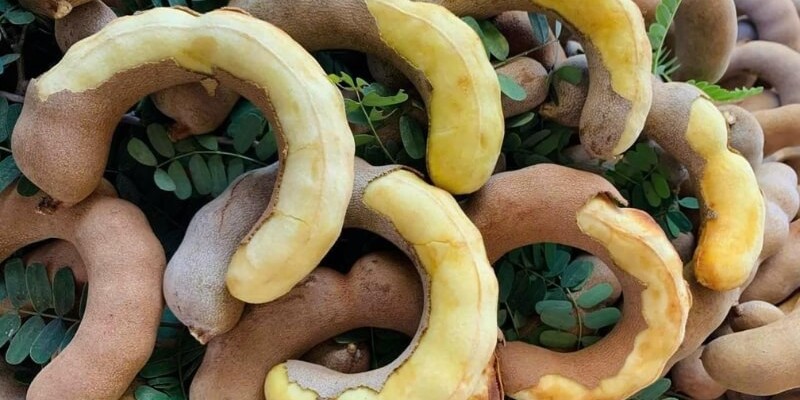 Cách ăn và bảo quản Me Thái để Xách Zìa đường xa