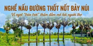 Nghề nấu đường thốt nốt Bảy Núi