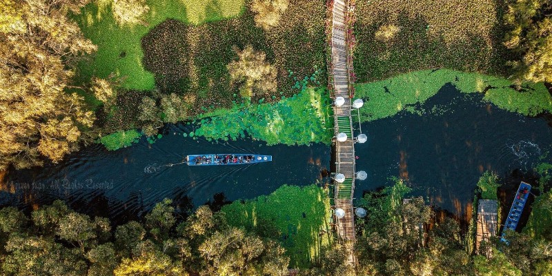 Mùa nước nổi là thời điểm đẹp nhất để ghé thăm Rừng Tràm Trà Sư.